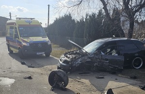 Na zdjęciach zniszczone pojazd, marki Ford - koloru białego, Audi, koloru granatowego